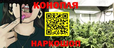скорость Жуковский