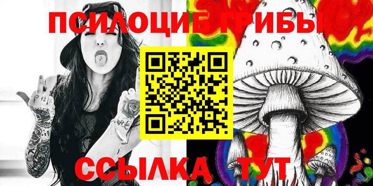 Великий Новгород  закладка  Вход с VPN  Псилоцибиновые грибы прущие грибы 